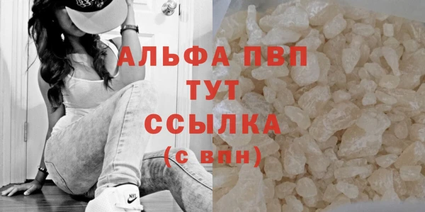 СК Белокуриха