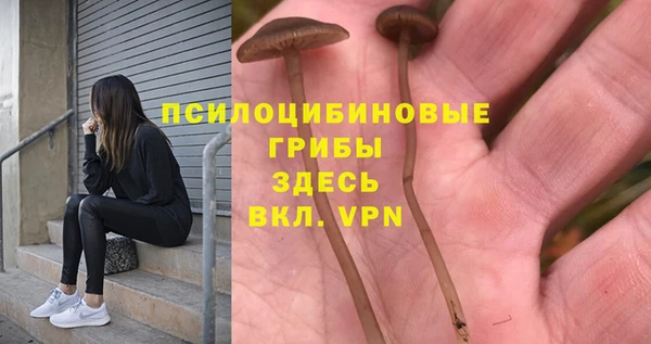 a pvp Беломорск
