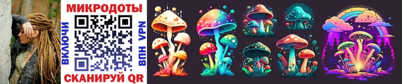 закладка  Нижний Ломов  Галлюциногенные грибы Cubensis 